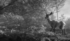 theHunter: Call of the Wild