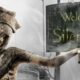 Filmowe adaptacje Silent Hill i Project Zero w produkcji