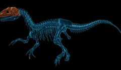 Dinosaur Fossil Hunter startuje z kampanią na Kickstarterze