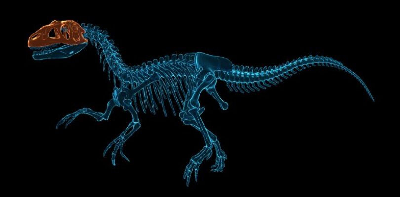 Dinosaur Fossil Hunter startuje z kampanią na Kickstarterze