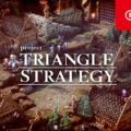 triangle strategy